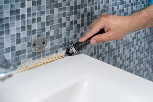 Best Black Mold Removal  in South Bloomfield, OH